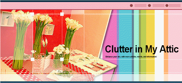 Clutter in My Attic